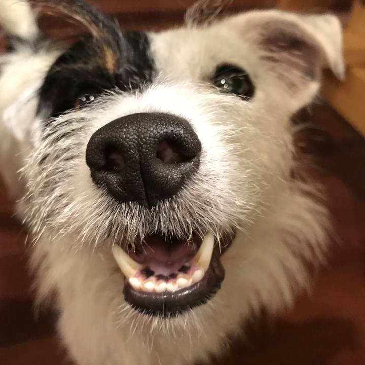 A2c75f07 d285 410f bd07 50dae38cd646