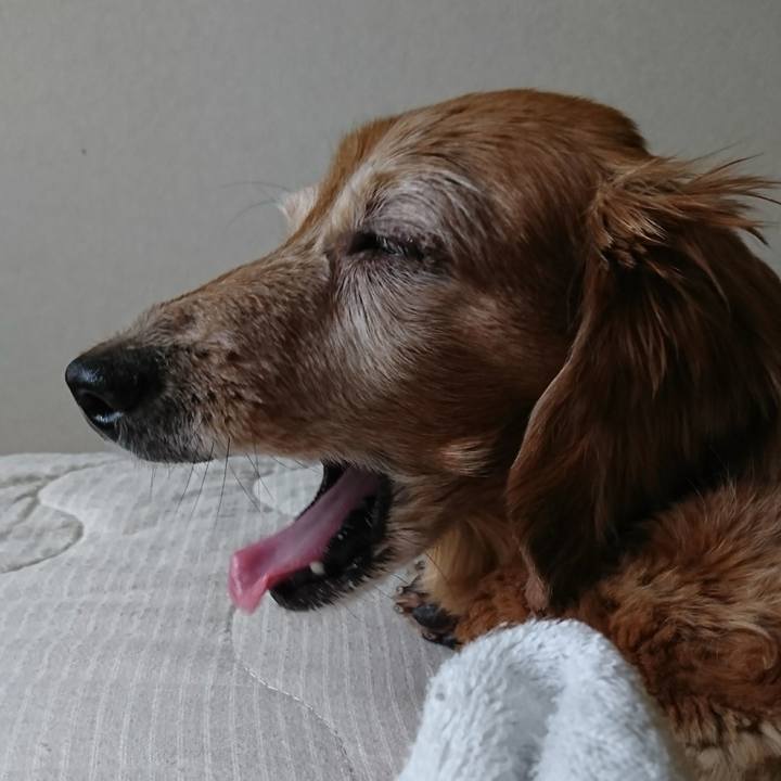 A2c82145 caa3 4b3d b95a 3efa629e97a9