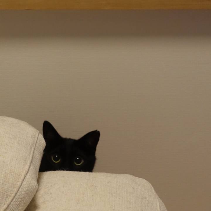 A2c83b3d 0c7c 4340 9cdc cf978ce0af9f