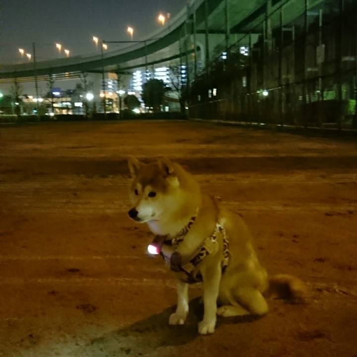 A2c8a2f4 190e 4321 817b 27d2caa44908