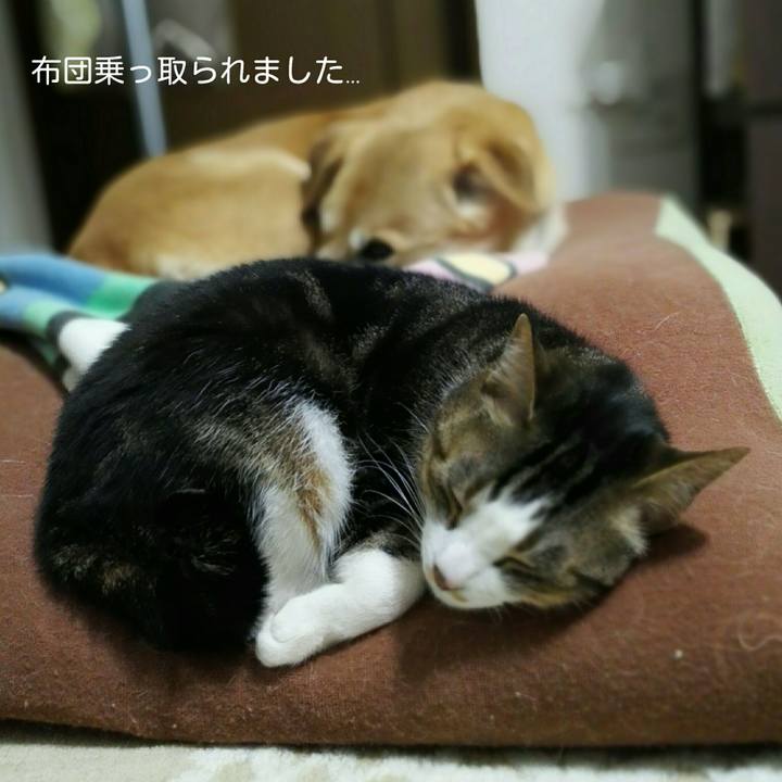 A2c8a4c0 193e 4005 af4a 876128cf8453