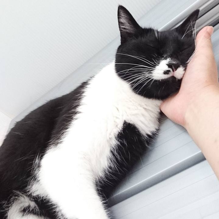 A2c8a8b5 2f57 4051 b35a ea9961a35f77