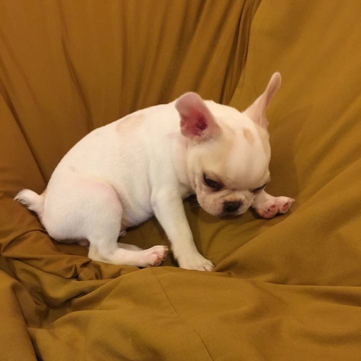 A2c907e7 47a5 45ad 8b83 2c3403fe9d98