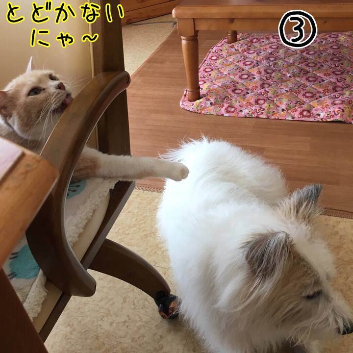 A2c9e9f6 e42d 4e91 ab09 4a20598c2518