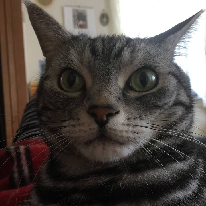 A2ca14f2 7d91 4f83 abf8 37108d5cce4d