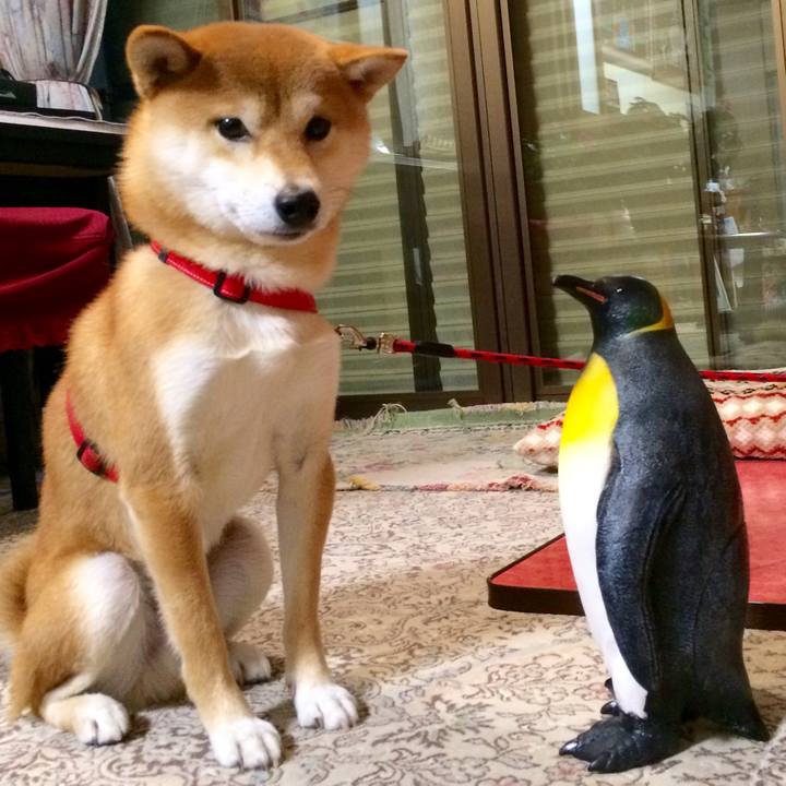 A2ca86b5 5ca6 4013 b470 2de825594c68