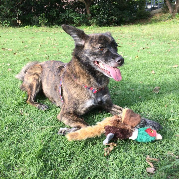 A2cabcf1 d870 4356 a2a0 a411989d4ce5