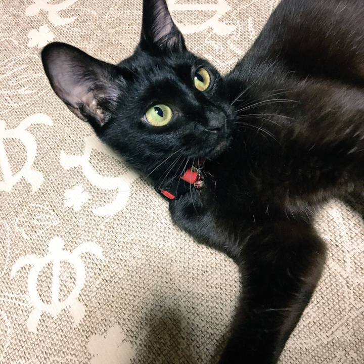 A2cae936 322c 4fb3 afbd 51139a9a1312