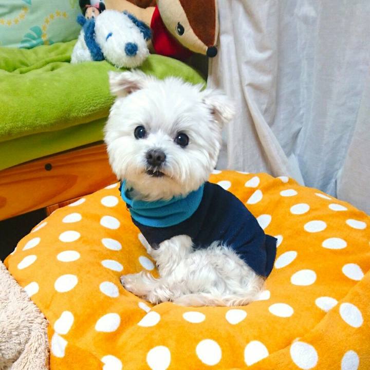 A2cb9b6c acf7 4cc4 98cc d8b520370e67