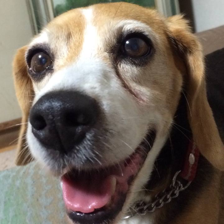 A2cbfc75 7463 490d 9212 c4486843a195