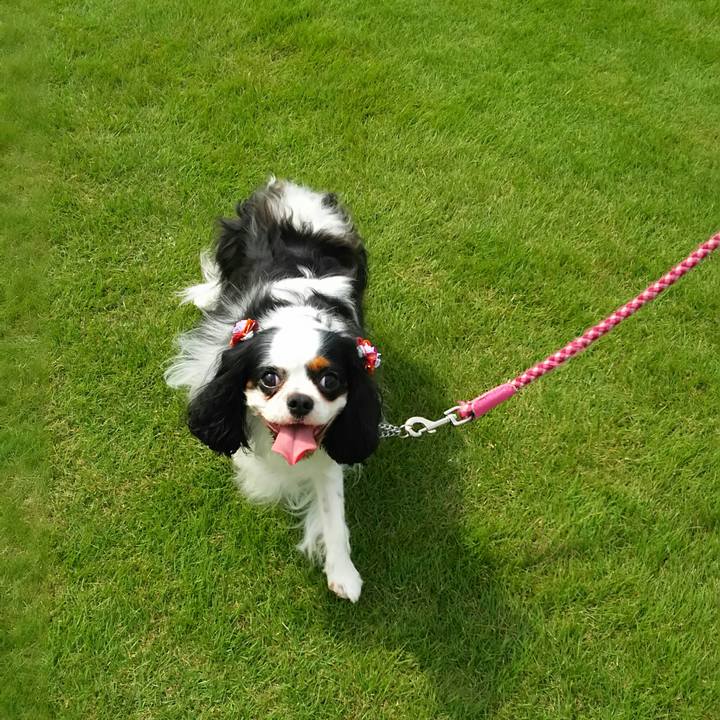 A2cc5800 674c 4b08 b0d6 e2b47bce9cd7