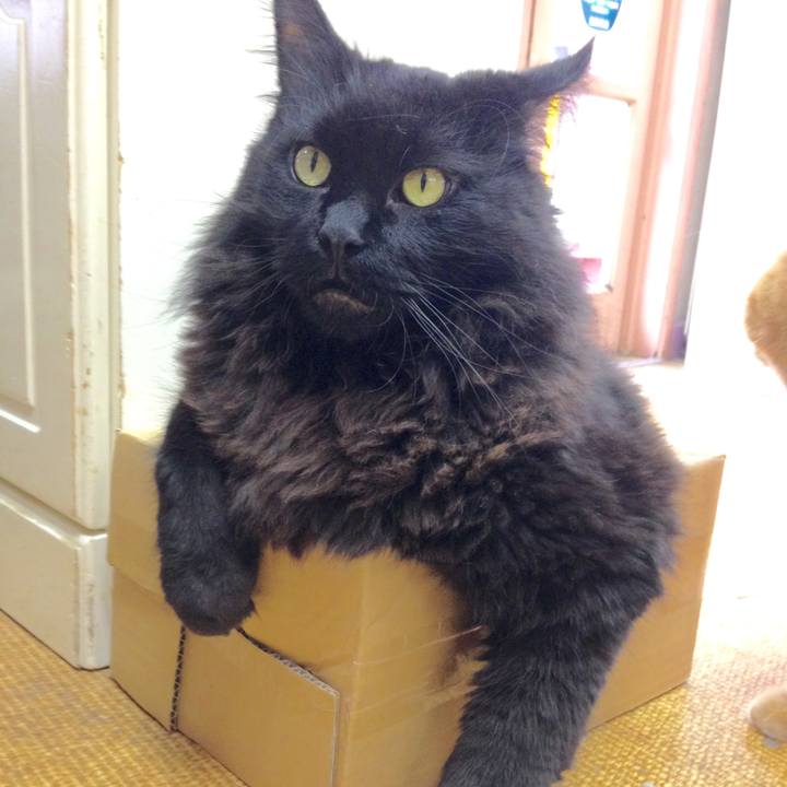 A2cd17ff 014a 4bb2 b9a0 60fb480cd96c