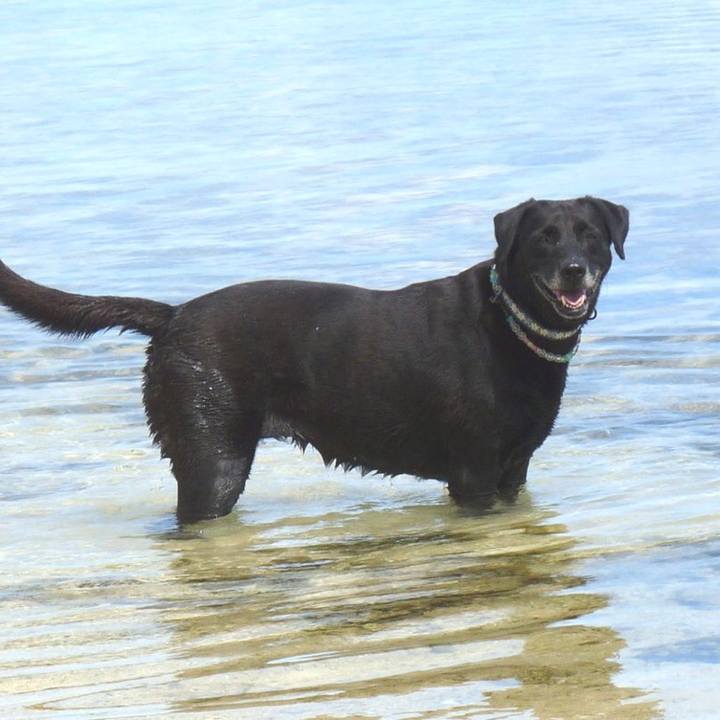 A2cd3df9 8e89 4cbb 974c 4808b2793e53