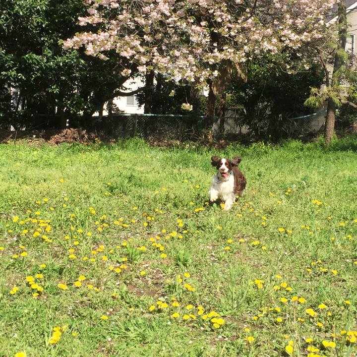 A2cd64eb b744 4686 b0f4 3e83922dbacc