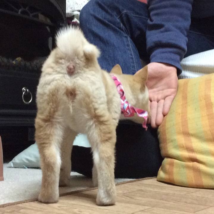 A2cdc2ee 6dac 484d b619 bcbf0ac4eff9