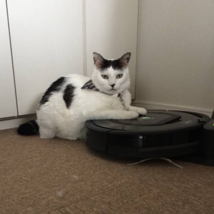 A2cdd3c0 e25d 4eef 8e04 a34553d77e4e