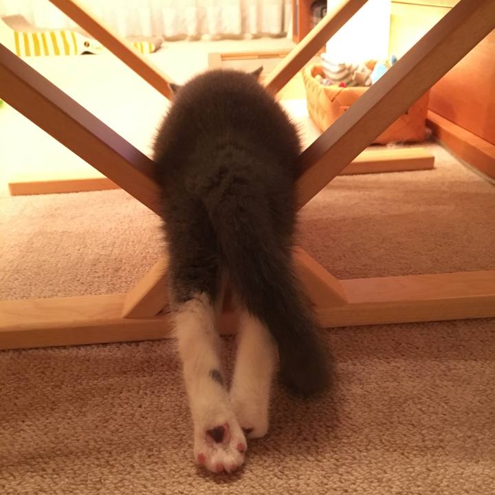 A2cde176 cccb 4c72 b126 5bc0083e88a5