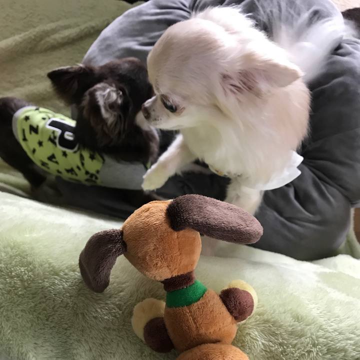 A2ce61ed a574 44a7 8ad9 f2fb73a5fcfd