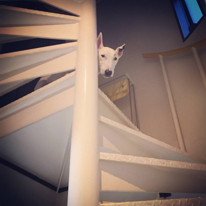 A2ce8fc9 c838 4e2a 9ffe 3e5480e4cbdb