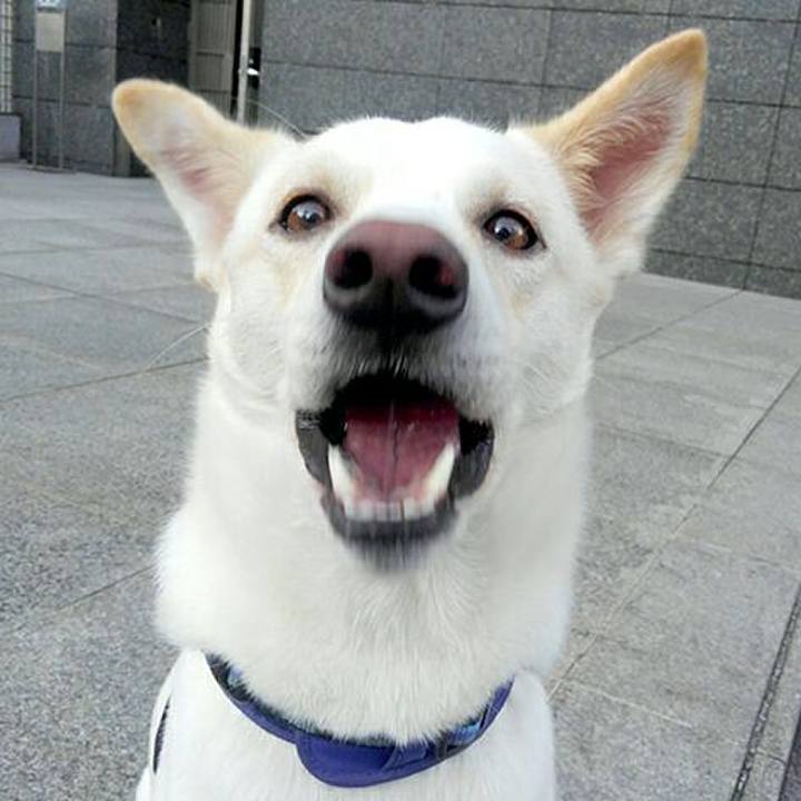 A2cfd0d9 2b00 4b08 be4b 62fb5e4bed70