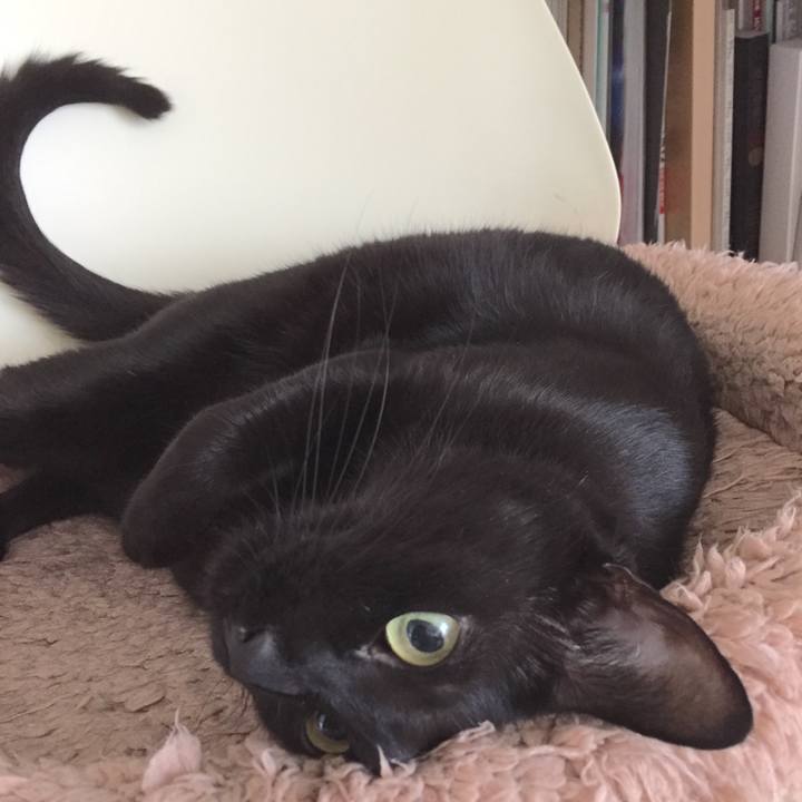 A2d020db 0cff 4c7f b8c9 3c44b4b3464d