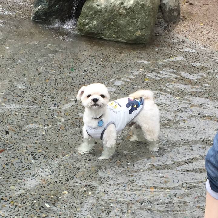 A2d11491 de44 49e6 83ac 64f41d6ece37