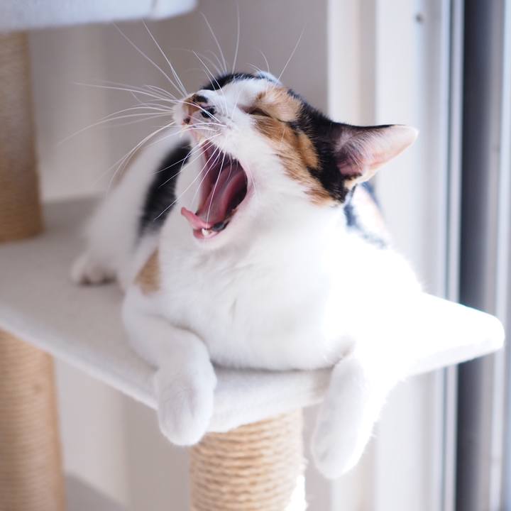 A2d13817 a73d 47e8 ad6f 9ff6b2422a12