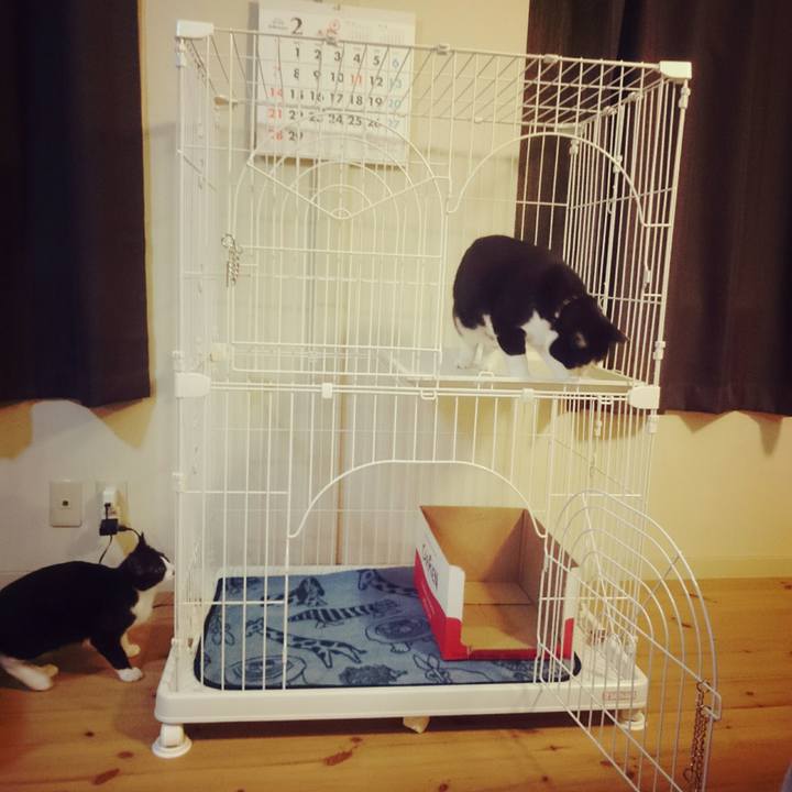 A2d142cf 63a7 42dc a1a7 5b605f17a4d8