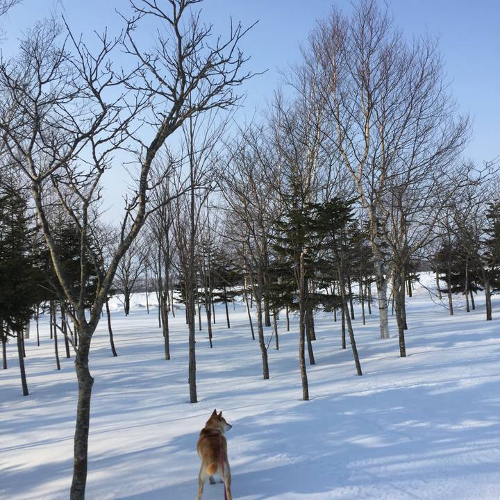 A2d22fea 9a24 4ce0 9f97 bfd920105848