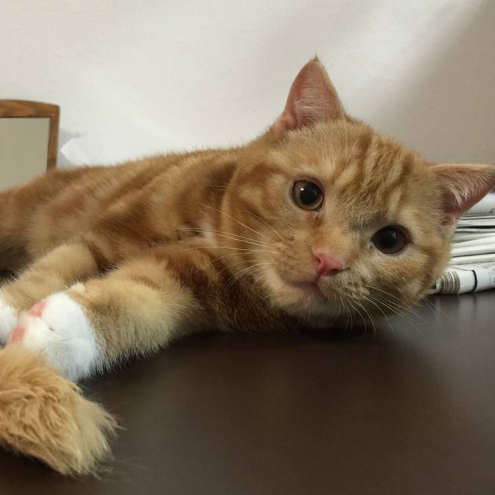 A2d23bb1 a0ad 45b7 81e1 c4902c1fdfb9