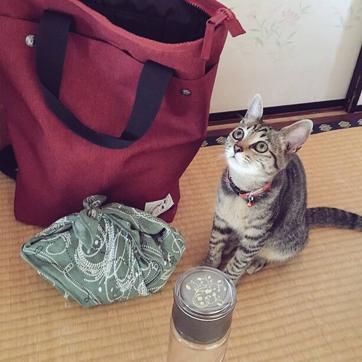 A2d24a30 e045 4bed 86bc e03c57a354d5