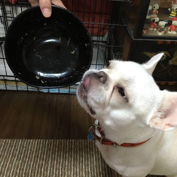 A2d25423 08cc 49aa afd2 78a9157fef57