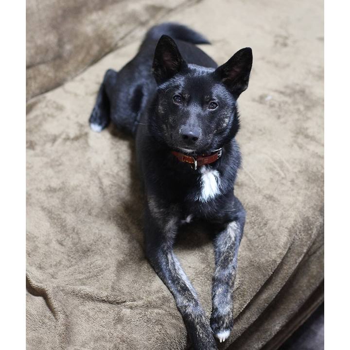 A2d2ab73 92ec 4a21 8e28 bfe183d9450a