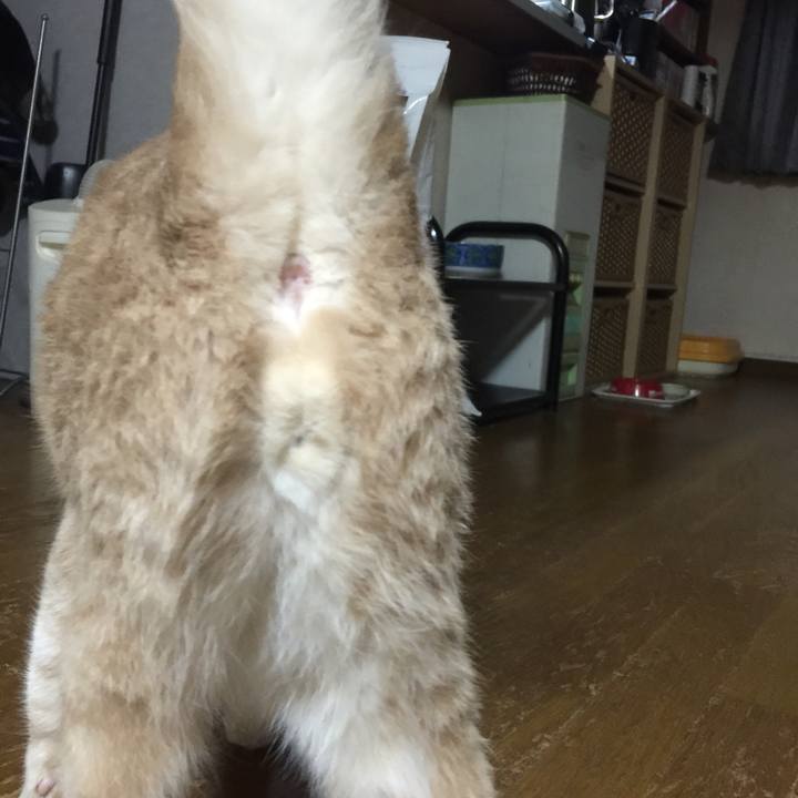 A2d2f27b 0d82 4ce3 b77a e427e82d56df