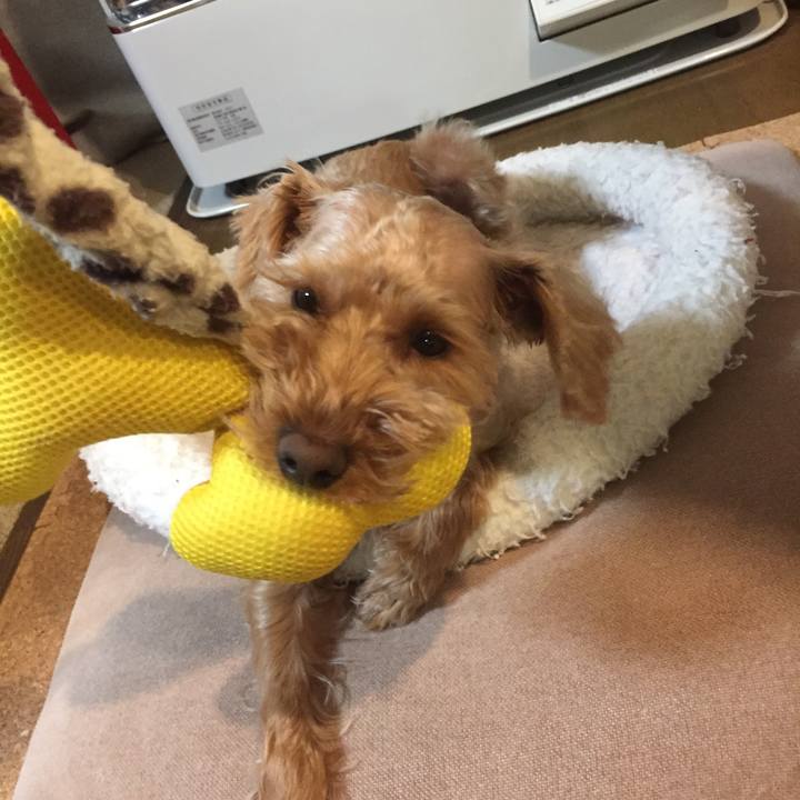 A2d34438 ff15 4863 8eaa 73cae0a8dd64