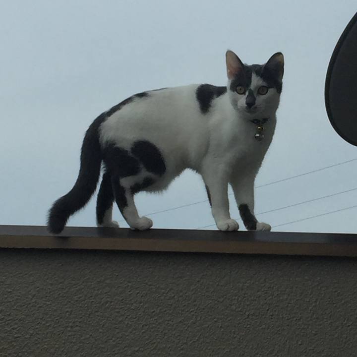 A2d44b57 e984 4ee5 b32c 53d211a4543d