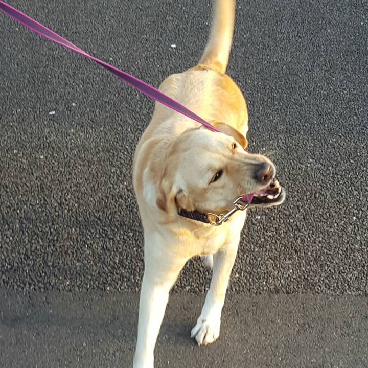 A2d44b58 66e8 4d44 b0a1 786b93df3c67