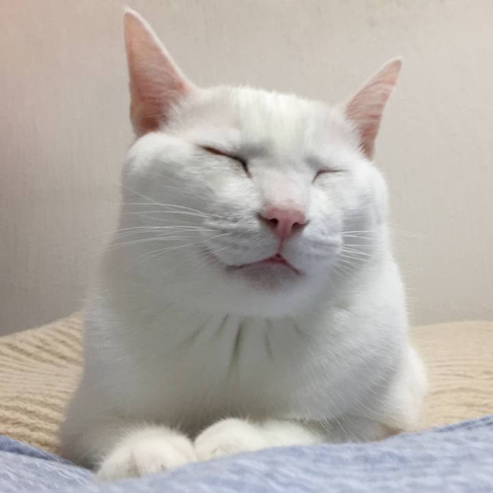 A2d478d8 df5b 43ad a957 35cd53ecf489