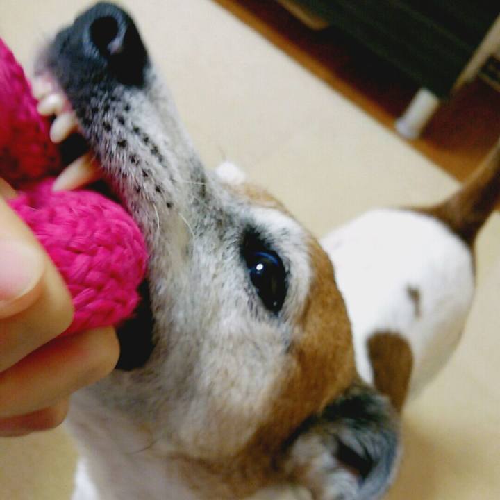 A2d4cf26 6aa5 4ef1 be97 4263a6d80ff0