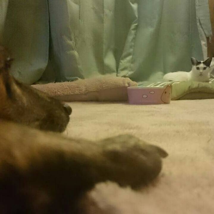 A2d51341 e0cd 4d88 b7f8 18c1657318ea