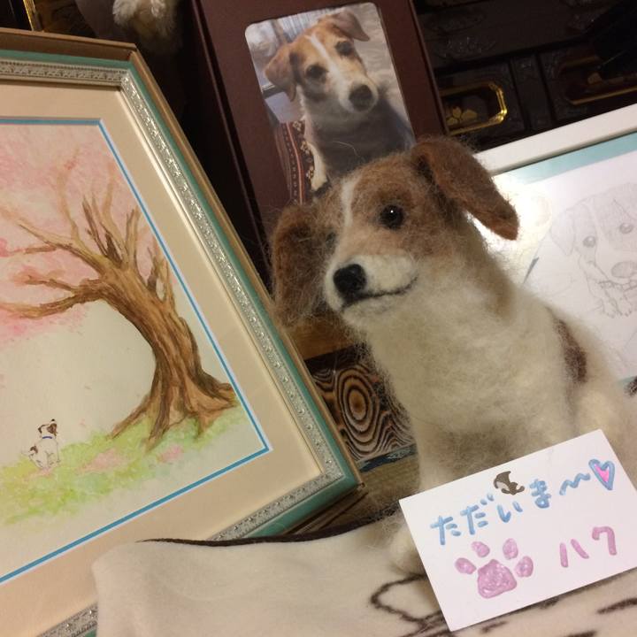 A2d592eb e509 4a0d 89bb 19622c494740