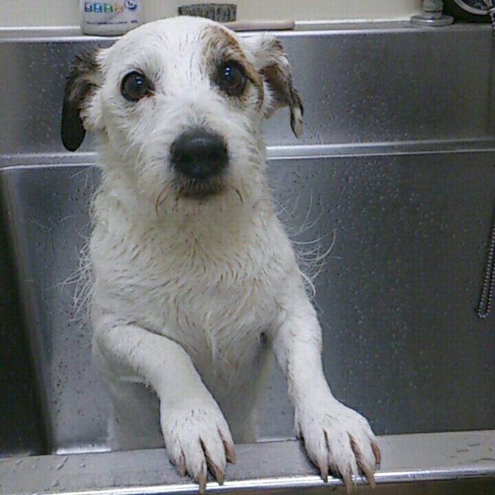 A2d606ed aabb 48a7 b5c6 48ed5db6da4e