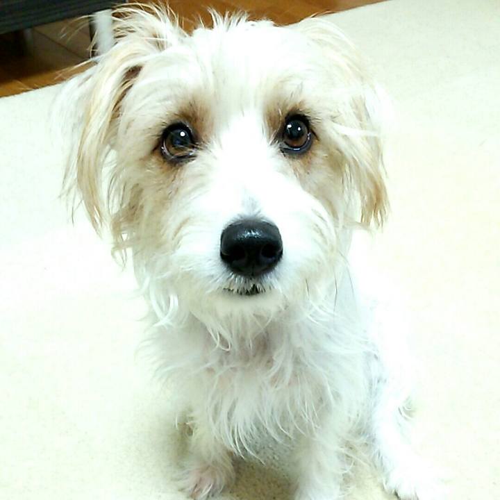 A2d64b7f a646 4918 8809 e0e45c7131ce