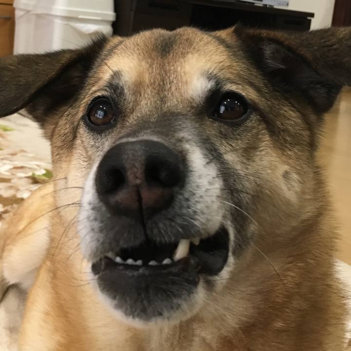 A2d6605e 451b 4fd7 800e d2e4cbc2aa76