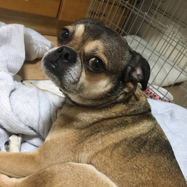 A2d66d83 e1d8 41d9 a763 1b5abc073b89