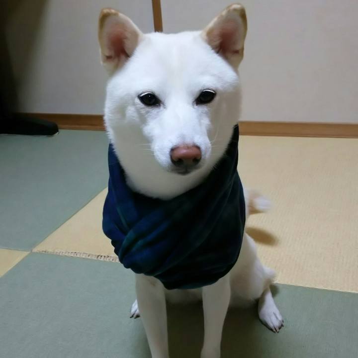 A2d69969 2bff 455c 8133 1a846c4466fd