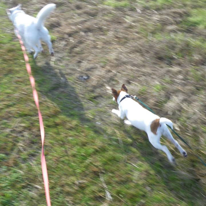 A2d75bbb afa1 438d a89e a9ca13688db4