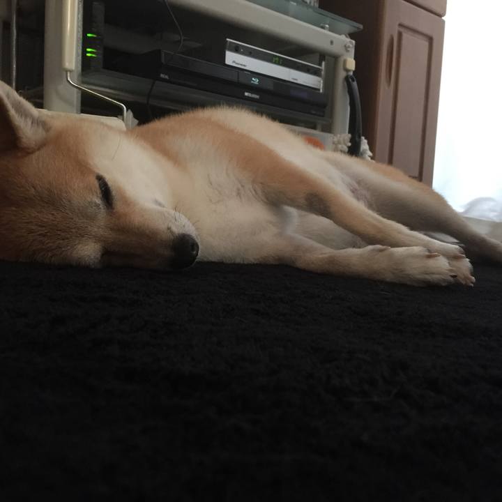 A2d76a2f a0e6 4a8e 9bbd 14af2d2edfc9