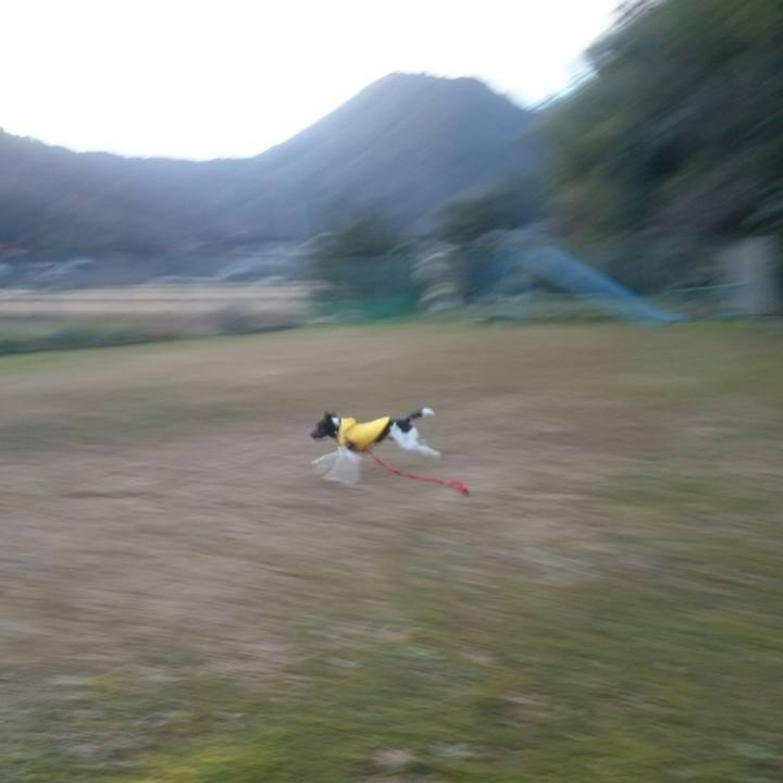 A2d7ebe9 f83b 4a91 bc15 891d0f4a2f22