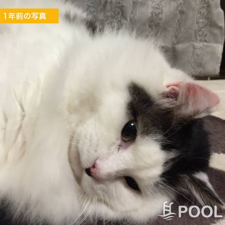 A2d7f03e b3fe 40a3 9090 fd0e26191f52